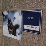 Profile Picture of Mr. Andrew Spargo (@mr.spargo_socialstudies) on Instagram