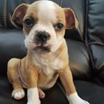 Opal Perry - Instagram Profile Picture of Opal Perry (@opal_perry_) on Instagram