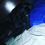 Profile Picture of Matthew Baldwin (@mbald89win) on Instagram