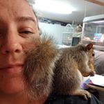 Profile Picture of Melanie Tompkins-Estelle (@melondriver250) on Instagram