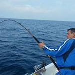 Profile Picture of Paolo Persichetti (@p.persichetti) on Instagram