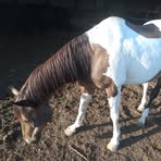 Profile Picture of ReNee Malone Leschinsky (@ReNee-Malone-Leschinsky) on Facebook