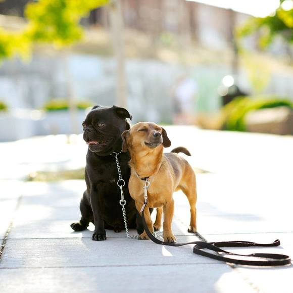 Profile Picture of Danyel Sudmeier (@danyel1976) on Poshmark