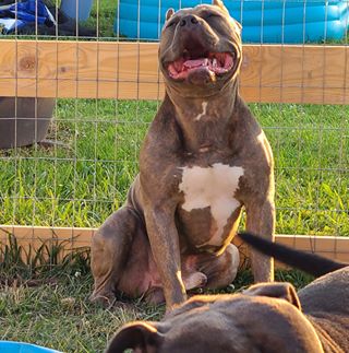 Steven Whitaker - Facebook Profile Picture of Steven Whitaker (@Steven-Whitaker) on Facebook