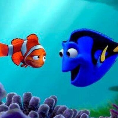 Profile Picture of Anel  Guzman (@GuzmanAnel) on Twitter