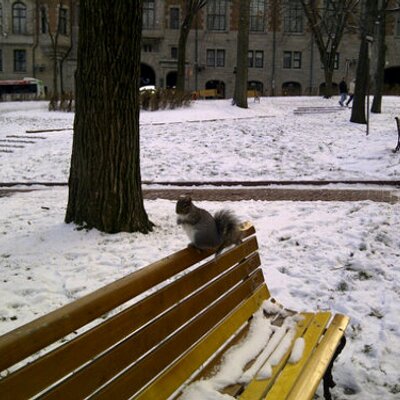 Profile Picture of Jacques Parent Rep (@jacparent50) on Twitter