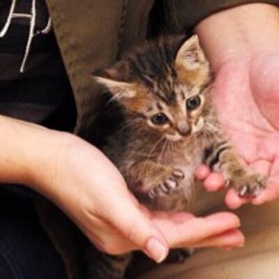 Profile Picture of Wilson (@jes3500) on Twitter