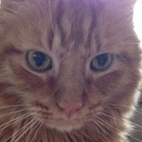 Profile Picture of Marlene Capps Batres (@cappsbatres) on Pinterest