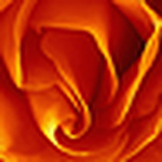 Profile Picture of Leah Williams (@ldwill88) on Flickr