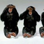 Profile Picture of Michael Schrenk (@schrmic) on Instagram