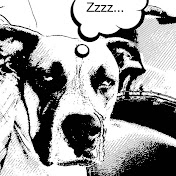 Profile Picture of Alvaro Perdomo (@alrpcool) on Youtube