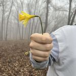 Profile Picture of Tyler Pittman (@atylerpittman) on Instagram