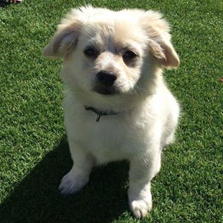 Profile Picture of Mark Danen (@Mark-Danen) on Facebook