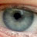 Profile Picture of Shelly.simon (@shelly.simon) on Flickr