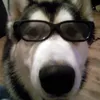 Profile Picture of nathan (@drpeppr1uva) on Tiktok