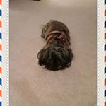 Profile Picture of Kenneth Modean (@modeankenneth) on Instagram