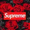 Profile Picture of colbyhefner (@@colbyhefner) on Tiktok