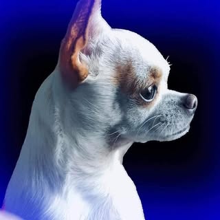 Profile Picture of Sherry Vann (@sherry.vann) on Instagram