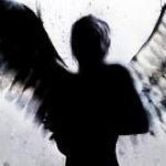 Profile Picture of Joseph Lovas (@mypurplerose) on Instagram