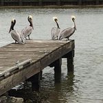 Profile Picture of Corey Whitley (@corewhitley) on Instagram