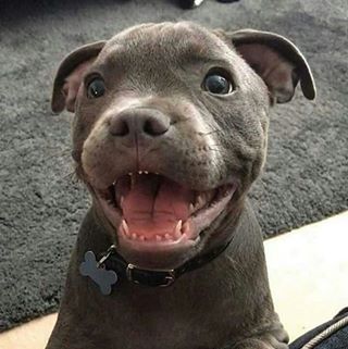 Bobby Ibarra - Facebook Profile Picture of Bobby Ibarra (@bobby.ibarra.54) on Facebook