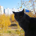 Profile Picture of Тата Марк (@tatamark3) on Instagram