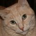 Profile Picture of Fred Stray (@fred.stray) on Facebook