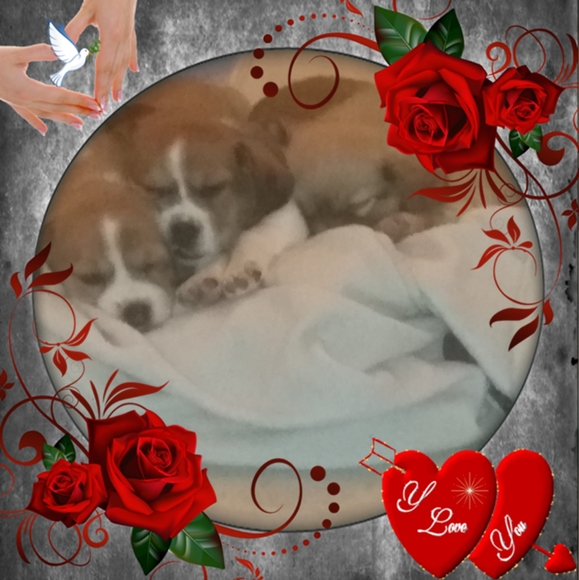 Profile Picture of Brittany Eaken (@brittanyeaken) on Poshmark