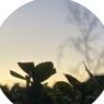 Profile Picture of Ruby (@rubytripped) on Tiktok