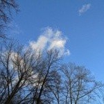 Profile Picture of Eklund (@eklundbradview59) on Instagram