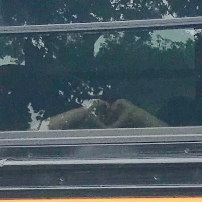 Profile Picture of Dave Lovercheck (@dlovercheck) on Twitter