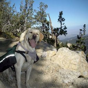 Profile Picture of Bob Culhane (@hikerguy23) on Myspace