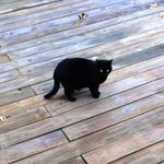 Profile Picture of Joe Vetter (@jvetterjr) on Instagram