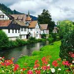 Profile Picture of Edwin Halliwell (@edwinhalliwell) on Instagram