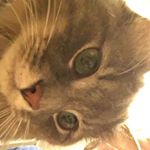 Profile Picture of Garrison Edwards (@garrison_edwards) on Instagram