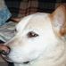 Profile Picture of Darwin Barton (@darwin.barton.7) on Facebook