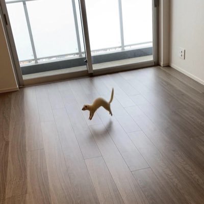 Profile Picture of Amanda Stracener (@mandystracener) on Twitter