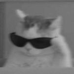 Profile Picture of Maria Eduarda Poppinger (@mariapss04) on Instagram