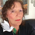 Profile Picture of Sandra Whitehead (@sandrawhitehead1) on Instagram