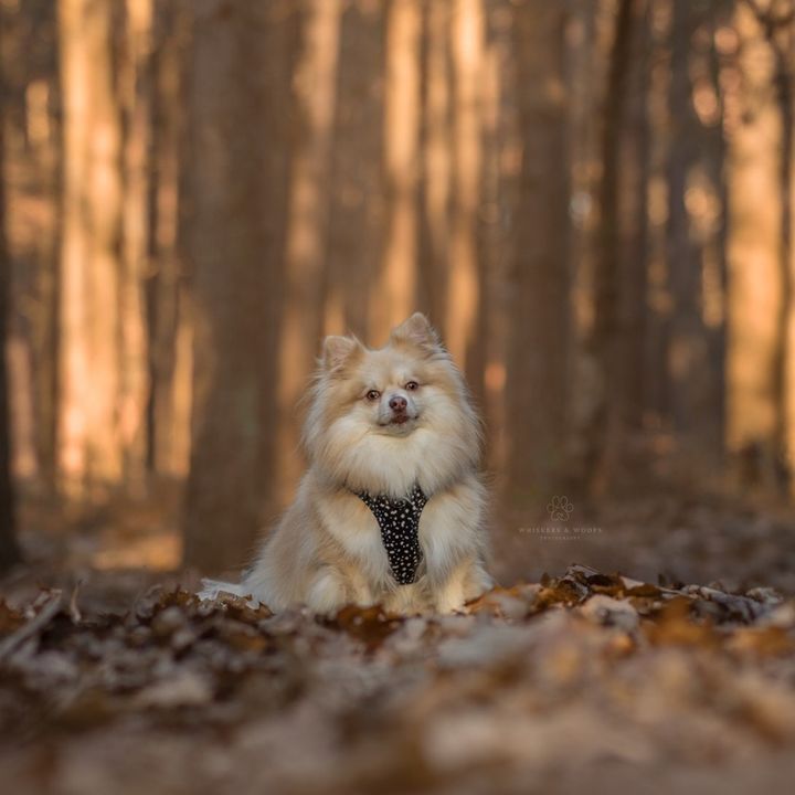Profile Picture of Amy Field (@@amyfield) on Tiktok