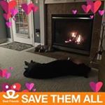 Profile Picture of Pam Craven Alexander (@pamcravenalexander) on Instagram