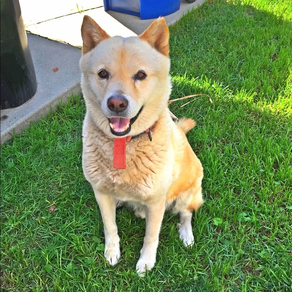 Profile Picture of Usha e loyal Loyal (@uloyal) on Poshmark