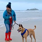 Profile Picture of Sarah Taylor (@sarahchilcott3825) on Instagram