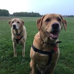 Profile Picture of Mark Casson (@mark2kooki) on Instagram