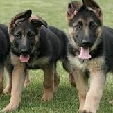 Shirley Matt - Facebook Profile Picture of Shirley Matt (@shirley.matt.7564) on Facebook