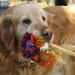 Profile Picture of Christine Fye (@era1933) on Pinterest