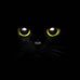 Profile Picture of Dorota Matusiak (@dorota.matusiak.7) on Facebook