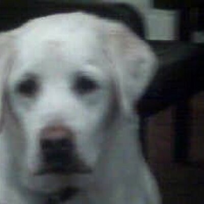 Profile Picture of Anne Canvasser (@@sac1) on Twitter