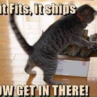 Profile Picture of Cory Casper (@cory-casper-3) on Quora