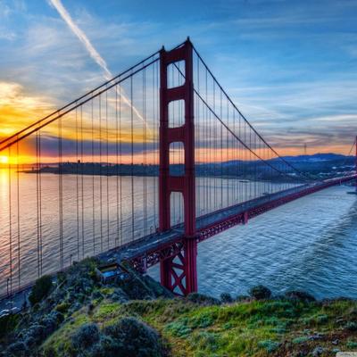 Profile Picture of Nick Aliotti (@NickAliotti) on Twitter